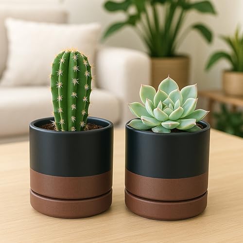 D'vine Dev 2-Pack Ceramic Pots with Saucers, Black/Tan, 4.7 in, 94-V-B-7 | Modern Cylinder Design, Glazed Ceramic, Drainage Hole & Saucer Included, High Temperature Fired, Elegant Home Accent - color: Black/Speckled Tan, size: 4.7 Inch