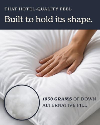 Beckham Hotel Collection Euro Size Throw Pillows (Set of 2), 26 x 26 | Down Alternative Pillow Insert for Bed, Couch, and Sofa - size: European