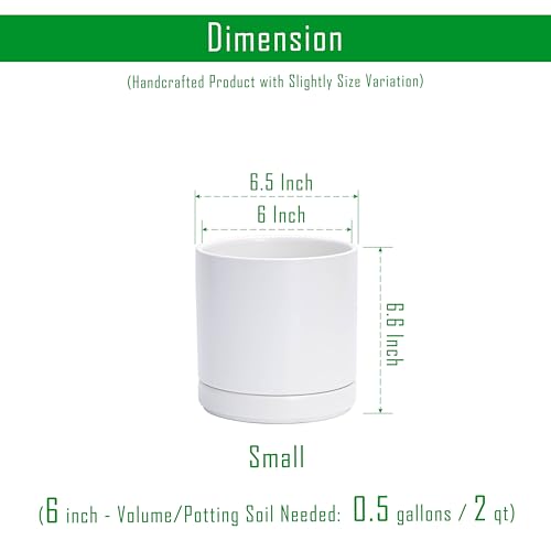 D'vine Dev 2-Pack Ceramic Pots with Saucers, White, 6.5 in, 94-V-C-1 | Modern Cylinder Design, Glazed Ceramic, Drainage Hole & Saucer Included, High Temperature Fired, Elegant Home Accent - color: White, size: 6 Inch