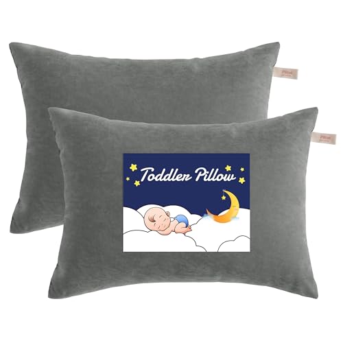 NTBAY Toddler Pillows, Set of 2, 13"x18", Dark Grey | Soft Microfiber Toddler Pillows with Down-Alternative Fill, 2 Pack 13 x 18 Inch Pillows for Beds, Daycare, and Travel - color: Dark Grey, size: 13"x18"