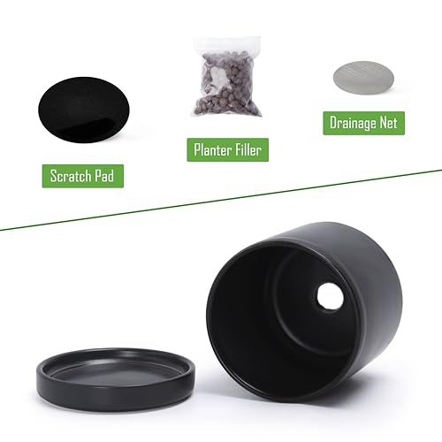 D'vine Dev 2-Pack Ceramic Pots with Saucers, Black, 3.5 in, 94-V-A-2 | Modern Cylinder Design, Glazed Ceramic, Drainage Hole & Saucer Included, High Temperature Fired, Elegant Home Accent - color: Black, size: 3.5 Inch