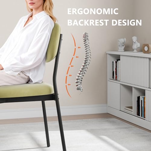 Einhomn Upholstered Dining Chairs Set, Modern Stackable Dining Room Chairs with Soft Velvet Backrest, Kitchen Chairs with Sturdy Metal Legs for Living Room, Restaurant, Set of 2,Light Green - color: Light Green