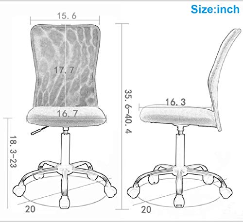 HGS Modern Armless Mesh Task Chair, Ergonomic Computer Chair, Mid-Back Rolling Swivel Chair with Lumbar Support, Height Adjustable, White - color: White