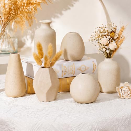 6 Pcs Mini Beige Ceramic Vase Set Modern Boho Bud Vases for Dried Flowers Plants Small Decorative Pottery Vases for Home Decor Wedding Bookshelf Coffee Table Centerpiece