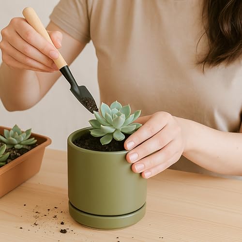 D'vine Dev 2-Pack Ceramic Pots with Saucers, Olive, 3.5 in, 94-V-A-J | Modern Cylinder Design, Glazed Ceramic, Drainage Hole & Saucer Included, High Temperature Fired, Elegant Home Accent - color: Olive, size: 3.5 Inch
