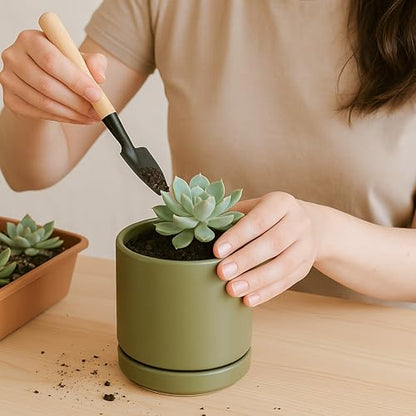 D'vine Dev 2-Pack Ceramic Pots with Saucers, Olive, 3.5 in, 94-V-A-J | Modern Cylinder Design, Glazed Ceramic, Drainage Hole & Saucer Included, High Temperature Fired, Elegant Home Accent - color: Olive, size: 3.5 Inch