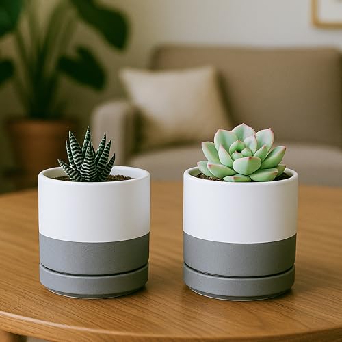 D'vine Dev Set of 2 Plants Pots, 3.5 Inch Ceramic Planter Pot for Plants with Drainage Hole and Saucer, White/Speckled Grey, 94-V-A-6 - color: White/Speckled Grey, size: 3.5 Inch