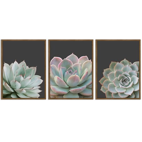 Zessonic Succulent Wall Art,Nature Plant Echeveria Wall Decor,12"x16"x3 | Nature Plant Echeveria Cactus Wall Decor,Tropical Nature Wilderness Botanical Canvas Prints for Bathroom Living Room Bedroom - color: Succulent, size: 12" x 16"x3