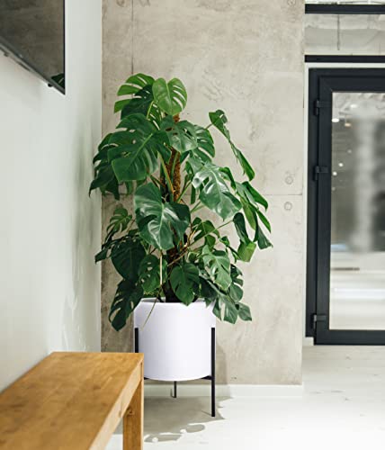 D'vine Dev Modern White Plants Pot Cylinder Planter with Heavy Duty Stand, XX-Large 16 Inch Pot, 22.8 Inch with Stand Height, 96-T-A-5 | Durable Fiberclay Construction, Sleek Modern Design, Heavy-Duty Iron Stand, Drainage Hole & Saucer - color: White, siz