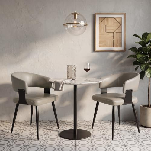 Dining Chairs Set of 2, Modern Faux Leather Kitchen Chairs | Faux Leather Upholstery, Curved Back, Metal Legs, Easy Clean, Dining Room, Breakfast Nook, Restaurant, Cafe, Matte Gray - color: Matte Gray, size: Set of 2