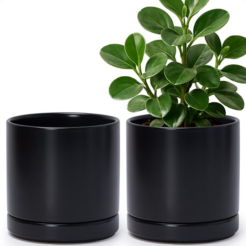 D'vine Dev 2-Pack Ceramic Pots with Saucers, Black, 6.5 in, 94-V-C-2 | Modern Cylinder Design, Glazed Ceramic, Drainage Hole & Saucer Included, High Temperature Fired, Elegant Home Accent - color: Black, size: 6 Inch