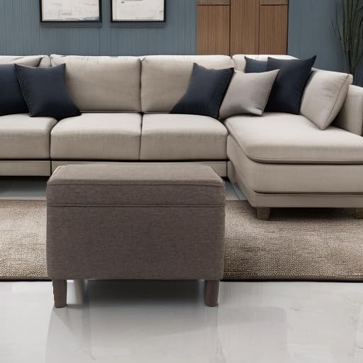Spatial Order 24" Dinah Collection Storage Ottoman - Chocolate Brown - color: Brown
