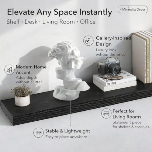 Bookshelf Decor Statue - Abstract Fragmented Bust Sculpture Aesthetic, Modern Greek David Head Art for Living Room, Office, Coffee Table, Desk & Shelf Home Decoration