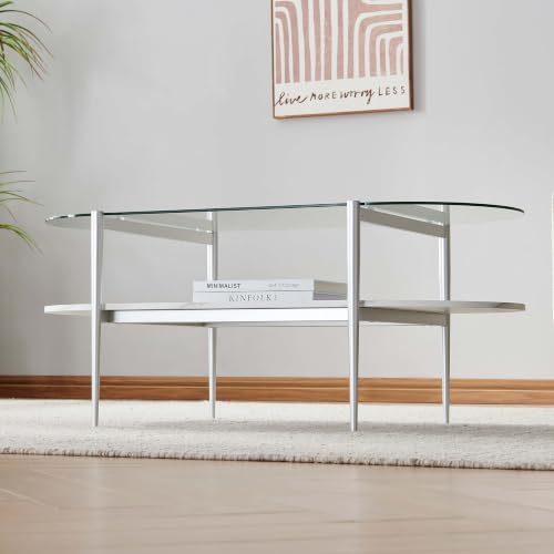LumFurn Oval Glass Coffee Table, Mid-Century Modern Design for Living Room, L41xW21xH17inch, Clear Glass, White Marble Finish Wood & Silver Finish Frame - color: Oval L41" Silver & White Marble