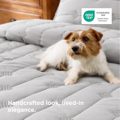 Bedsure Lightweight Comforter Queen Size – Extra Soft & Breathable Quilt Set, 3 Piece Prewashed Cotton-Like Polyester Bedding, Includes 1 Quilt 90x96 Inches with 2 Shams, Machine Washable, Light Grey - color: 02 - Light Grey, size: Queen / Full (90" x 96"