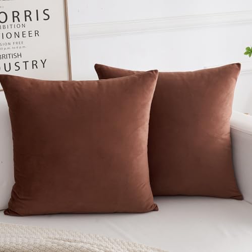 Velvet Decorative Throw Pillow Covers, Soft Square Cushion Case Home Decor for Living Room Couch Bed Sofa, Set of 2 Pack, Brown, 16x16 Inch - color: Brown, size: 16" x 16" (Pack of 2)