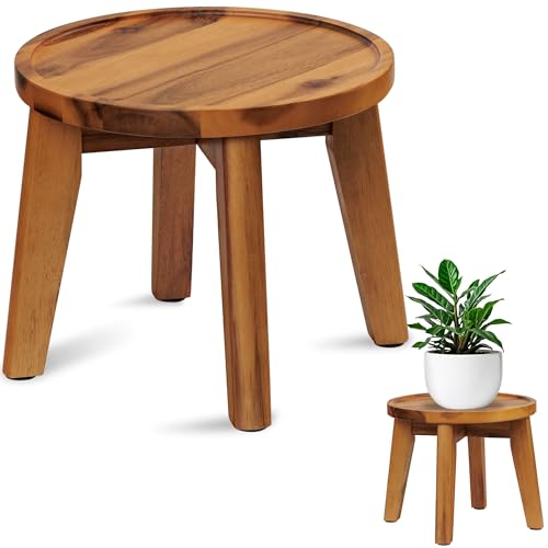 Demigo Indoor Plant Stand, 8 in Tall Natural Acacia Wood Plant Shelf Decor | Wooden Plant Shelf with Spill-Proof Tray for Heavy Pots, Living Room, Patio & Garden Decor, Pot Pedestal - color: Natural Acacia, size: Medium