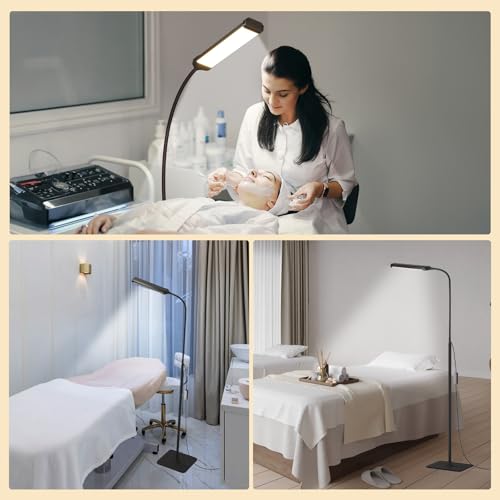 Aisutha LED Floor Lamp, Reading Lamps Adjustable Stepless Colors & Brightness Standing Lamp, Nail Tech Lamp, Lash Light for Eyelash - color: Dark Black