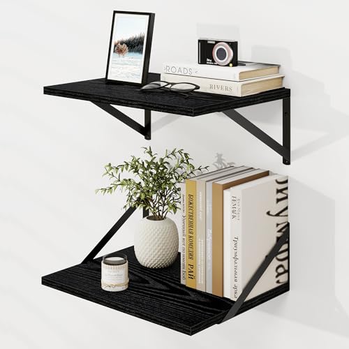 Dreamland Wall Mounted Floating Shelves Set of 2, 16x12, Black | Engineered Wood, Visible Bracket, Large Storage, Hold Up to 40lbs, Living Room, Bathroom, Bedroom, Kitchen - color: Black, size: 16"W x 12"D
