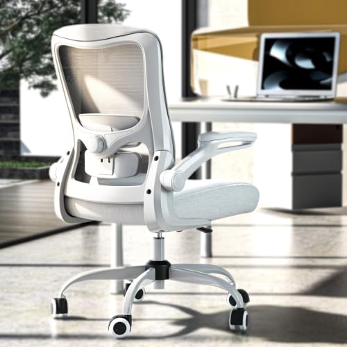 Ergonomic Office Chair for Long Hours, Adjustable Padded Lumbar Support for Lower Back Relief, 330 lb Capacity, Comfortable Computer Desk Chair for Home Office, Work & Study