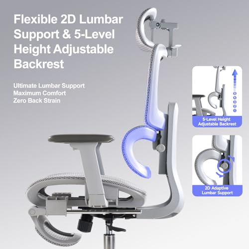 Office Chair with Footrest, Ergonomic Chair with 3D Headrest, Computer Chair with Adjustable Backrest & 3D Armrest, Gaming Chair with Adaptive Lumbar Support, Mesh Backrest & Cushion, Grey - color: Grey, style: Lite