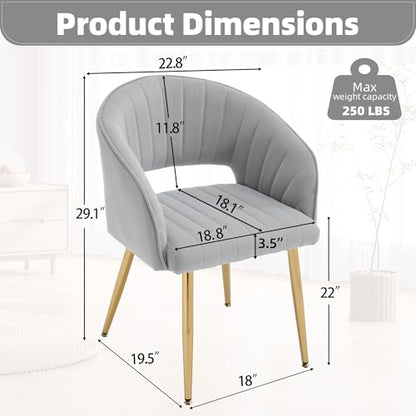 Velvet Home Office Desk Vanity Chair, No Wheels, Gold Legs, Grey | Modern Accent Chair with Stylish Stripe Design, Spacious‌ Soft Seat for Girls & Women Bedroom Makeup or Nail Table - color: Grey Velvet, No Wheels