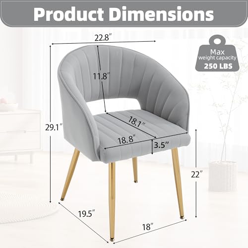 Velvet Home Office Desk Vanity Chair, No Wheels, Gold Legs, Grey | Modern Accent Chair with Stylish Stripe Design, Spacious‌ Soft Seat for Girls & Women Bedroom Makeup or Nail Table - color: Grey Velvet, No Wheels