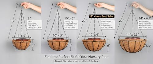 Kingbuy 10 Inch Hanging Planter Basket with Coconut Liner Wire Plant Holder Chain Flower Baskets Pot Hanger Home Garden Decoration for Indoor Outdoor, 2 Pack - size: 10 Inch, style: 2 Pack
