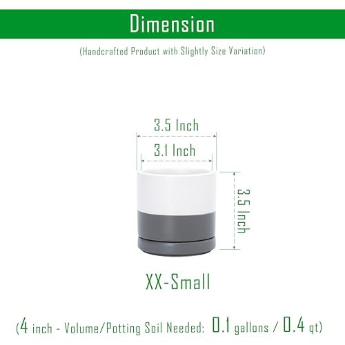 D'vine Dev Set of 2 Plants Pots, 3.5 Inch Ceramic Planter Pot for Plants with Drainage Hole and Saucer, White/Speckled Grey, 94-V-A-6 - color: White/Speckled Grey, size: 3.5 Inch