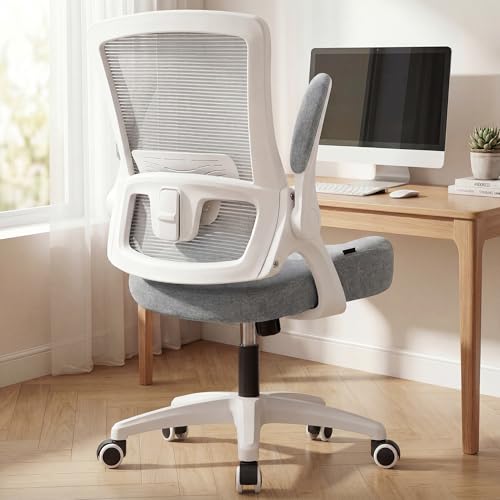NEO CHAIR Office Desk Chair High Back Mesh Chair Adjustable Lumbar, Grey | Ergonomic High-Back Design with Breathable Mesh, Flip-Up Armrests, Comfortable Support for Home office or Computer Work - color: Grey