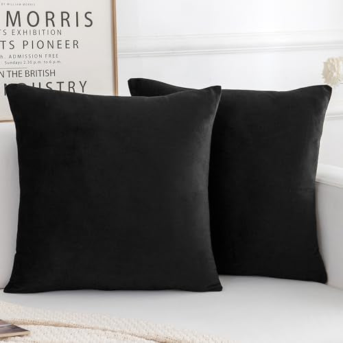 Velvet Decorative Throw Pillow Covers, Soft Square Cushion Case Home Decor for Living Room Couch Bed Sofa, Set of 2 Pack, Black, 16x16 Inch - color: Black, size: 16" x 16" (Pack of 2)