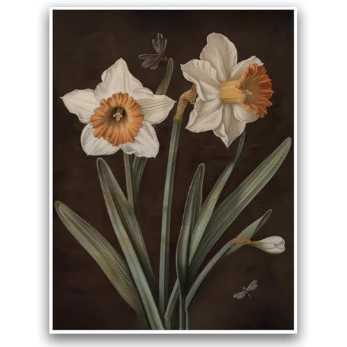 ZKFANKE Vintage Floral Print Poster White Narcissus Bloom Poster 16x12 Inch Unframed Botanical Wall Art for Living Room, Bedroom and Office With Vintage Nature Style andOrange Teal Leaf Study Details - color: ViewArt-8 UnFramed, size: 16"L x 12"W
