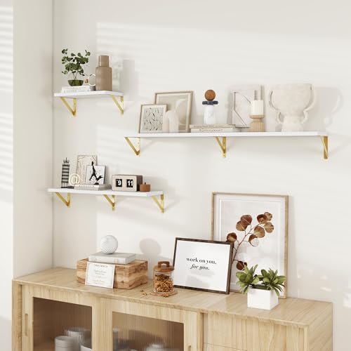 Dreamland Wall Mounted Floating Shelves Set of 2, 55x8, White&Gold | Engineered Wood, Visible Bracket, Large Storage, Hold Up to 80lbs, Living Room, Bathroom, Bedroom, Kitchen - color: White&gold, size: 55"W x 8"D
