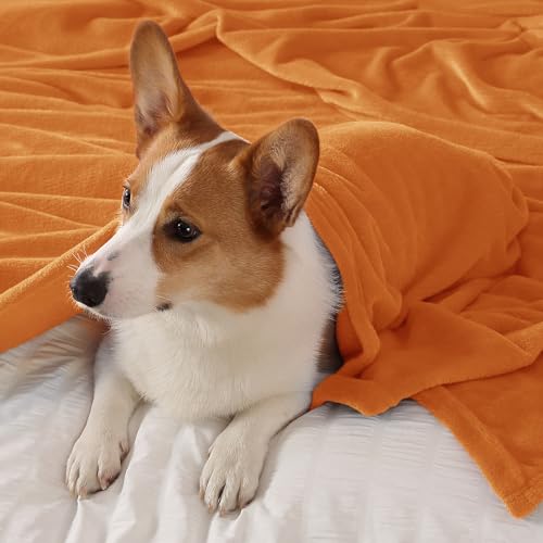 Throw Blanket for Couch & Sofa, All-Season Lightweight Fleece Blanket, Luxury Soft Cozy Fuzzy Throw for Her Him,Burnt Orange, 50 x 56 Inches