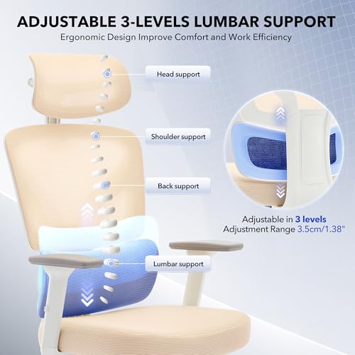 Ergonomic Office Chair Mesh – Adjustable Lumbar 3D Armrests High-Back Desk | Breathable Mesh Backrest; Seat Height & Tilt-Angle Adjustment; Smooth-Rolling Casters; Easy To Assembly, For Home, Office - color: Beige-d1
