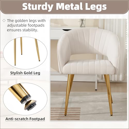 Velvet Home Office Desk Vanity Chair, No Wheels, Gold Legs, Off-White Cream | Modern Accent Chair with Stylish Stripe Design, Spacious‌ Soft Seat for Girls & Women Bedroom Makeup or Nail Table - color: Off-white Cream Velvet, No Wheels
