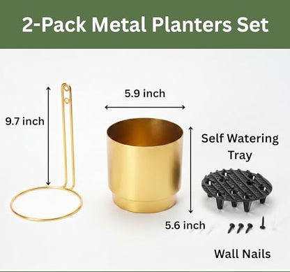 Self-Watering Gold Wall Planters Indoor (5.9 inch) | Metal Wall Vase, Wall Hanging Planter, Wall Plant Holder, Plant Hanger, Hanging Planter, Wall Plant - color: Gold