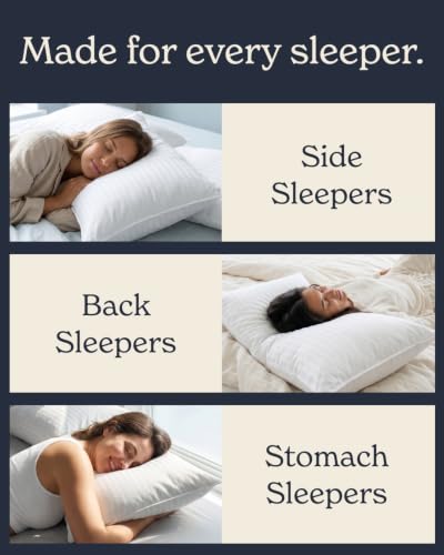 Beckham Hotel Collection Bed Pillows Standard/Queen Size Set of 2 | Original Soft Down Alternative Pillow for Sleeping, Soft Support for Back, Stomach or Side Sleepers - size: Queen / Standard