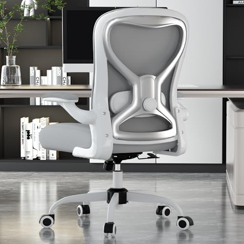 Ergonomic Home Office Chair, 4-Way Lumbar, Thick Cushion, 330LBS | Adjustable Lumbar (up/down/in/out), Rocking Mesh Back, Flip-up Arms, Easy Assembly, Ideal for home offices & small workspaces - color: White-grey and Silver