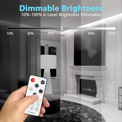 32.8ft COB LED Strip Light 6500K Bright Daylight White Dimmable DC 24V | Flexible LED Rope Lights with Remote LED Lights Strip for Bedroom, Living Room, Shelf, Cabinet - style: 32.8FT-6500K Daylight White