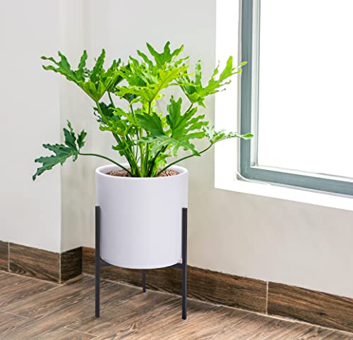 D'vine Dev Cylinder Planter Pot with Metal Stand, White, 10 in, 96-T-A-2 | Durable Fiberclay Construction, Sleek Modern Design, Heavy-Duty Iron Stand, Drainage Hole & Saucer, Elegant Indoor Display - color: White, size: Medium 10 Inch