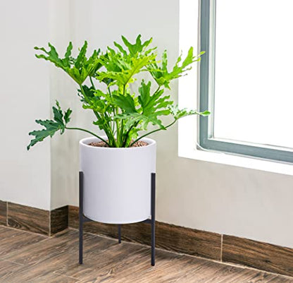 D'vine Dev Cylinder Planter Pot with Metal Stand, White, 10 in, 96-T-A-2 | Durable Fiberclay Construction, Sleek Modern Design, Heavy-Duty Iron Stand, Drainage Hole & Saucer, Elegant Indoor Display - color: White, size: Medium 10 Inch