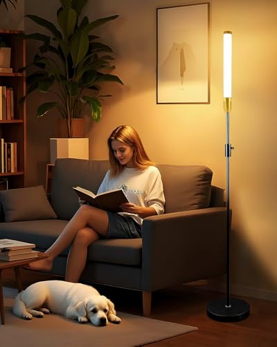 Lightdot 68IN LED Floor Lamps for Living Room, Stepless Dimmable(10-100% Brightness) Modern Standing Tall Lamp with Milky White Cylindrical LampHead,Mid Century Industrial Floor Lamp for Bedroom-Black - color: Tube-Black