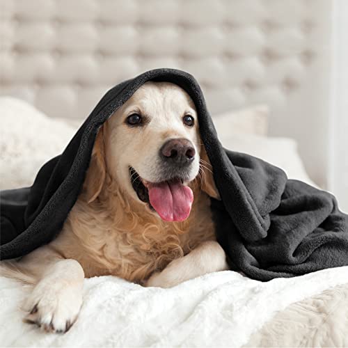 BEDELITE Fleece Blanket Soft Plush Twin Size Blanket Black 60"x80" | Ultra Soft Fleece, Plush Microfiber, Lightweight Warmth, All Season Comfort, Fade Resistant, Machine Washable, Couch Sofa Bed - color: Black, size: Twin(60"x80")