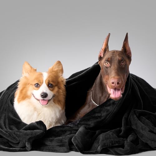 Hansleep Throw Black Fleece Blanket, Soft Flannel Bed Blanket | Fuzzy Cozy Blanket 50x60 Inches, Multi-use for Bed, Sofa, Couch, Travel, Camping, All Season Warm Lightweight Cover - color: Black, size: Throw (50x60 Inches)