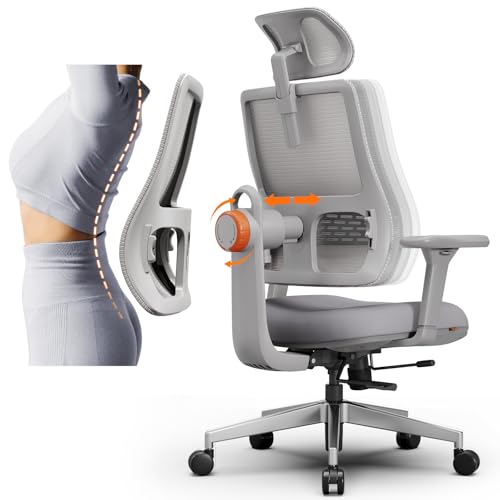 Ergonomic High-Back Office Chair, Home Office Desk Chair with Auto-Following Lumbar Support, Adjustable Headrest, 3D Armrest, Seat Depth & Heigh Adjustable, 96°-126° Recline - color: Grey