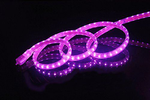 UL Listed, 10 Feet,Super Bright 2700 Lumen, Pink, Dimmable, 110-120V AC Flexible Flat LED Strip Rope Light, 180 Units 5050 SMD LEDs, Indoor Outdoor Use, Ready to use - color: Pink