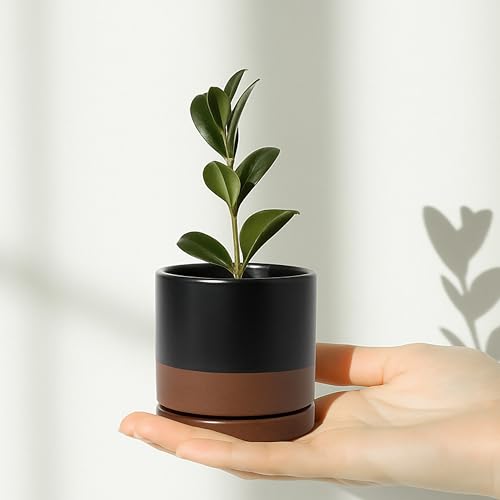 D'vine Dev 2-Pack Ceramic Pots with Saucers, Black/Tan, 3.5 in, 94-V-A-7 | Modern Cylinder Design, Glazed Ceramic, Drainage Hole & Saucer Included, High Temperature Fired, Elegant Home Accent - color: Black/Speckled Tan, size: 3.5 Inch
