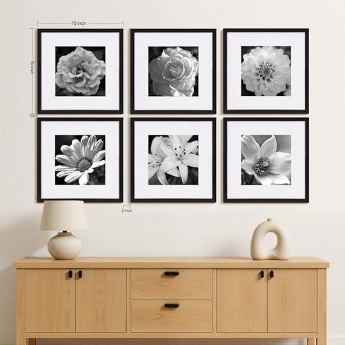 eletecpro 16x16 Picture Frame Set of 6, Display 12x12 with Mat | Gallery Wall Decor, Sturdy & Lightweight, Clear Acrylic, No Acid Mat, 2 Display Sizes - size: 16x16 for 12x12