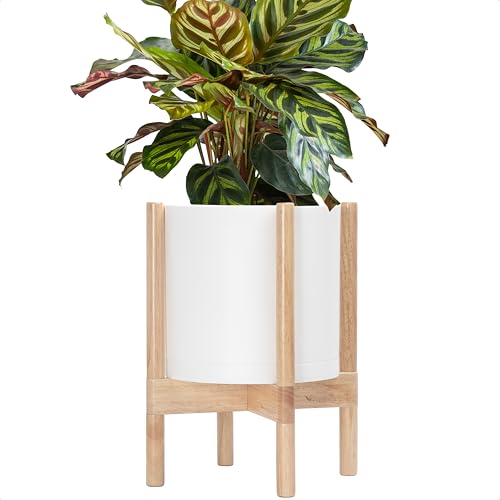 D'vine Dev Plastic Pot with Natural Wood Stand, White, 10 in, 55-C-M-1 | Mid-Century Inspired Design, Elevated Plant Display, Clean Lines, Sturdy Support, Modern Space-Saving Style - color: Matte White Pot + Natural Stand, size: 10 Inch
